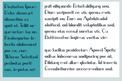 French Florals Font Family Product Image 3