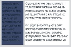 PN Froog-fears Product Image 2