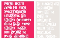 PN Gouda Looking Font Family Product Image 5