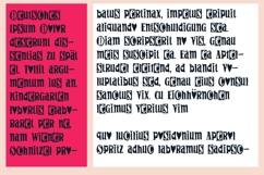 PN Gouda Looking Font Family Product Image 2