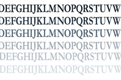 Graduation Monogram Banner Font Family Product Image 6