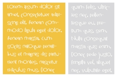 Happy Heyday Product Image 3