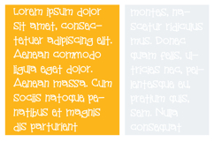 Harvest Mice Product Image 5