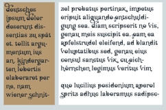 Hello Gorgeous Garden Font Family Product Image 3