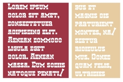 Hen Basket Homeland Font Family Product Image 3