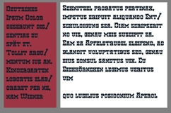 Hen Basket Homeland Font Family Product Image 6