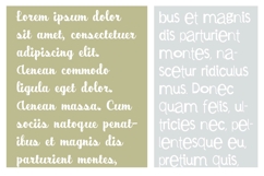 Home-cooked and Sanister Font Duo Product Image 5