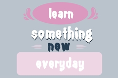 Ice Cream Plunge Font Family Product Image 3