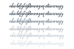 Invitation Only Font Family Product Image 4