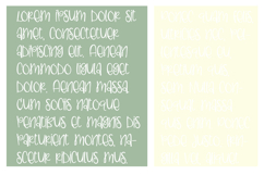 Ladylike Font Family Product Image 3