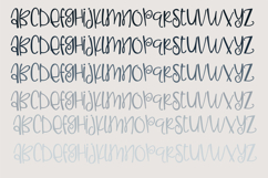 Ladylike Font Family Product Image 4