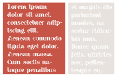 Long Island Independence Font Family Product Image 7