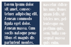 Longmire Lace Font Family Product Image 5