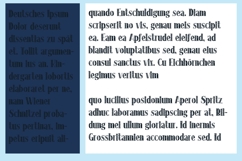 Longmire Lace Font Family Product Image 2