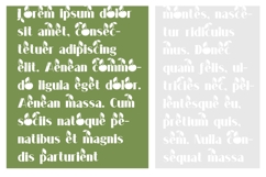 Longmire Cherry Font Family Product Image 5