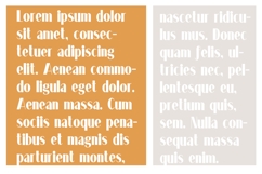Longmire Font Family Product Image 4