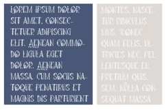 Loquacious Bloom Font Family Product Image 3