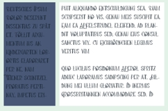 Loquacious Bloom Font Family Product Image 6