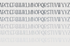 Loquacious Leafy Font Family Product Image 4