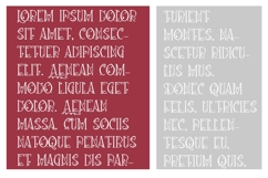 Loquacious Liberation Font Family Product Image 5