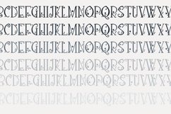 Loquacious Liberation Font Family Product Image 6