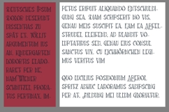 Loquacious Liberation Font Family Product Image 2