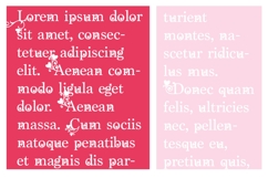 PN Love Flourish Font Family Product Image 4