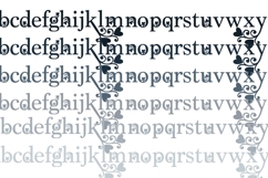 PN Love Flourish Font Family Product Image 5