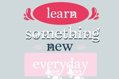 PN Love Flourish Font Family Product Image 6