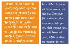 Macabre Millionaire Font Duo Product Image 3