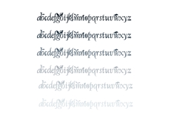 Macabre Millionaire Font Duo Product Image 6