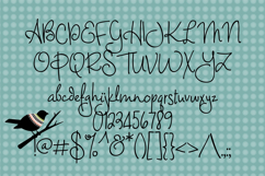 Magnificent Font Family Product Image 2