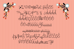Magnificent Font Family Product Image 3