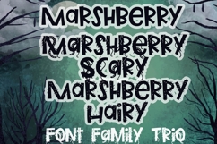 Marshberry Scary Font Trio Product Image 1