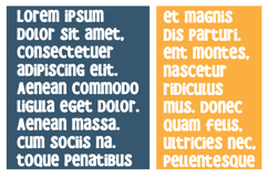 McBlarney Font Family Product Image 3