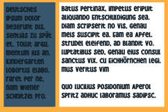 McBlarney Font Family Product Image 6