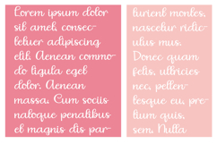 Megoblastic Product Image 4