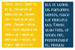 Monster Looks Font Duo Product Image 5