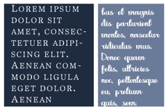Noel Nuevo Font Duo Product Image 4