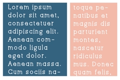 Nugacious Font Family Product Image 3