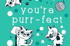 Nugacious Font Family Product Image 5