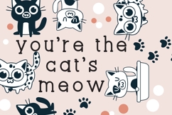 Nugacious Font Family Product Image 6