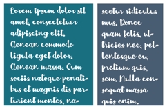 Octopus Pops Product Image 5