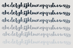 Octopus Pops Product Image 6