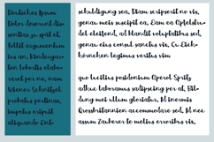 Octopus Pops Product Image 2