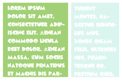 Owl in the Family Font Family Product Image 5
