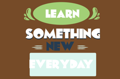 Owl in the Family Font Family Product Image 7