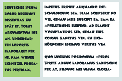 Owl in the Family Font Family Product Image 2