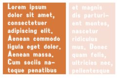 PN Paperclipped Product Image 3