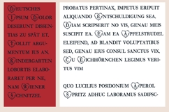 PN Perfect Love Font Family Product Image 5